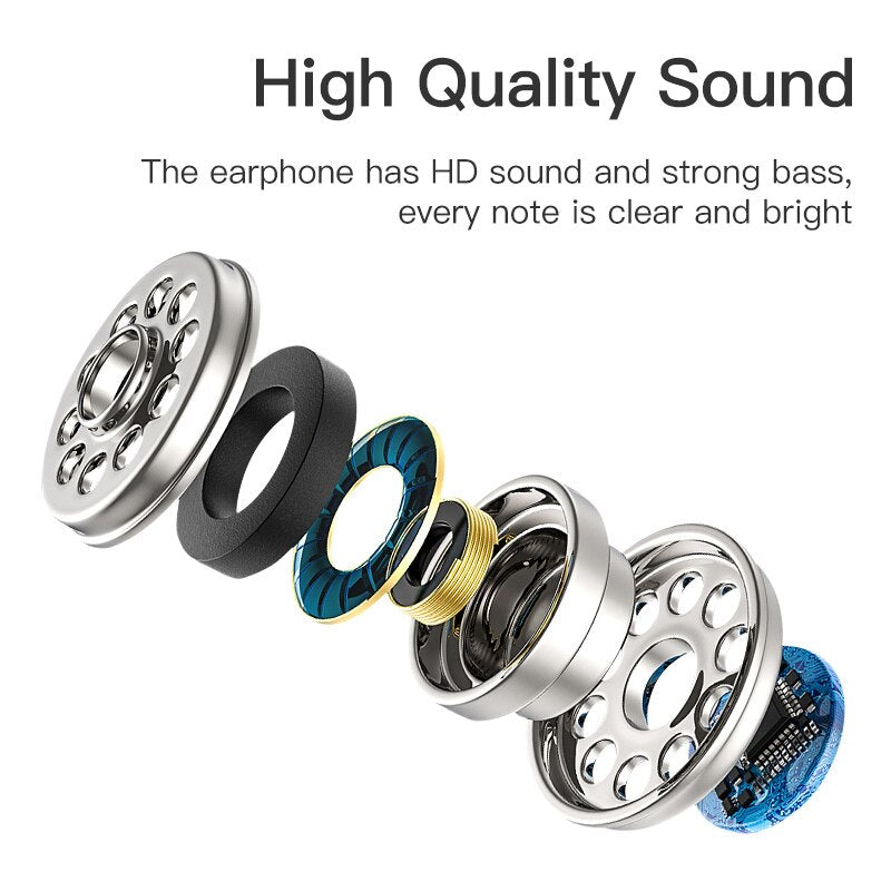 Earphones with Microphone